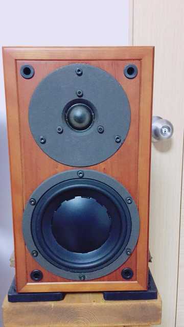 dynaudio micron